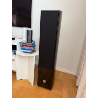 Dali Epicon 6