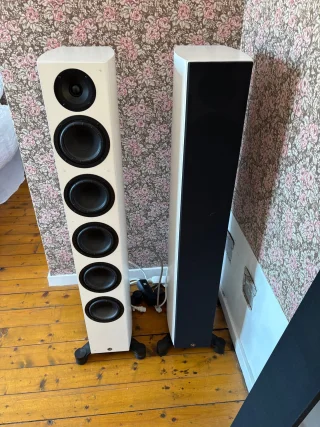 System Audio Silverback SA Legend 60