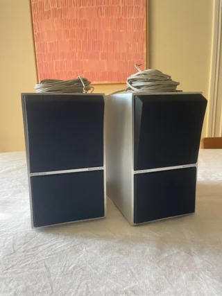 Bang & Olufsen Beovox CX50