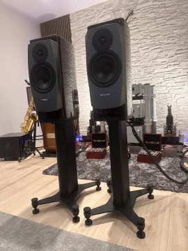 Dynaudio confidence 20