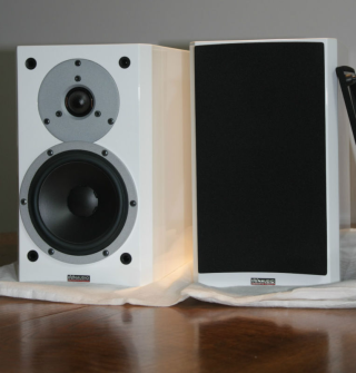 Dynaudio Excite X12