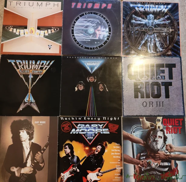 H&aring;rdrocksvinyl - Bild 5 av 10