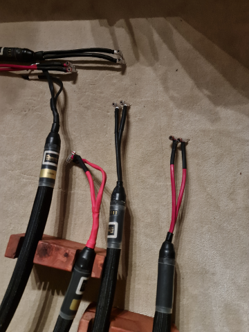 Purist audio design Dominus Rev b 2x3m bi-wire 