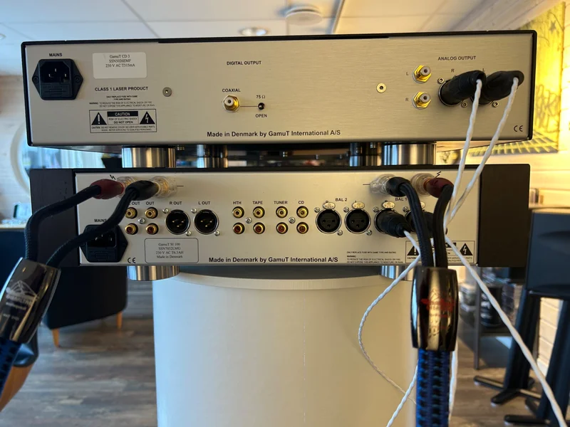 GamuT Si-100 &amp; GamuT CD-3 - Bild 4 av 5