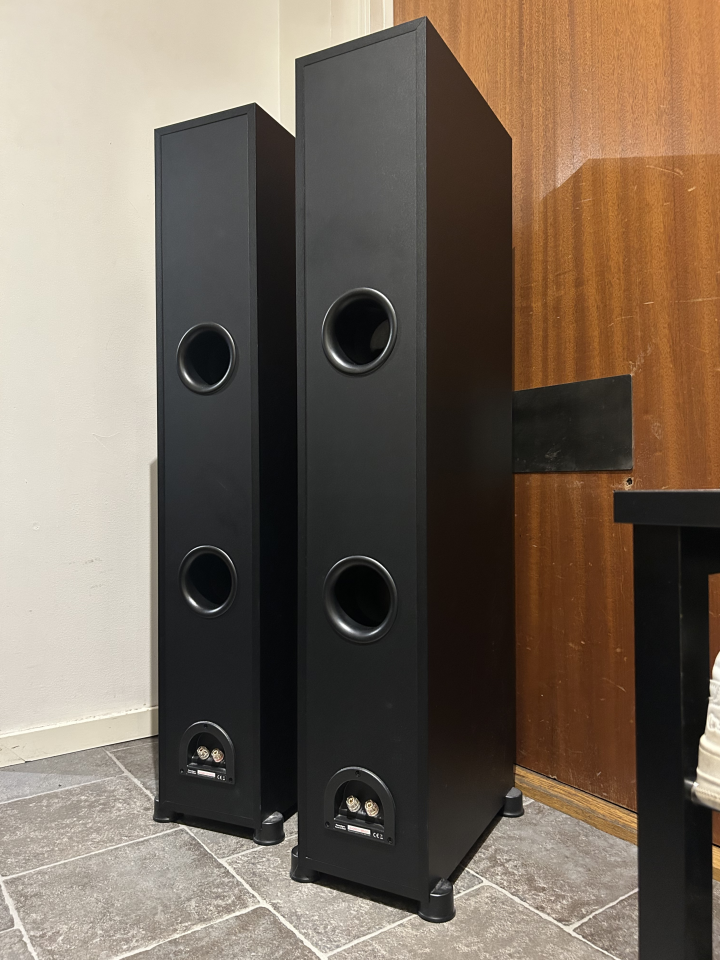 Paradigm Monitor SE 6000f