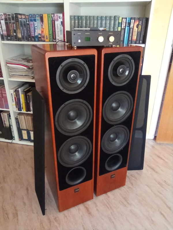 Canton dig 2.1 - Bild 1 av 1