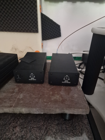 Avid pulsus Riia  - Bild 1 av 1