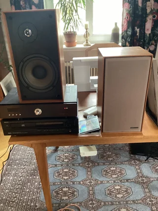 pioneer vintage