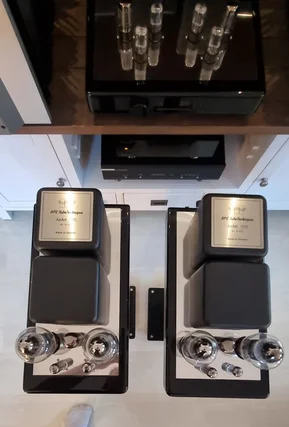 APS Airart 170 Monoblocks.