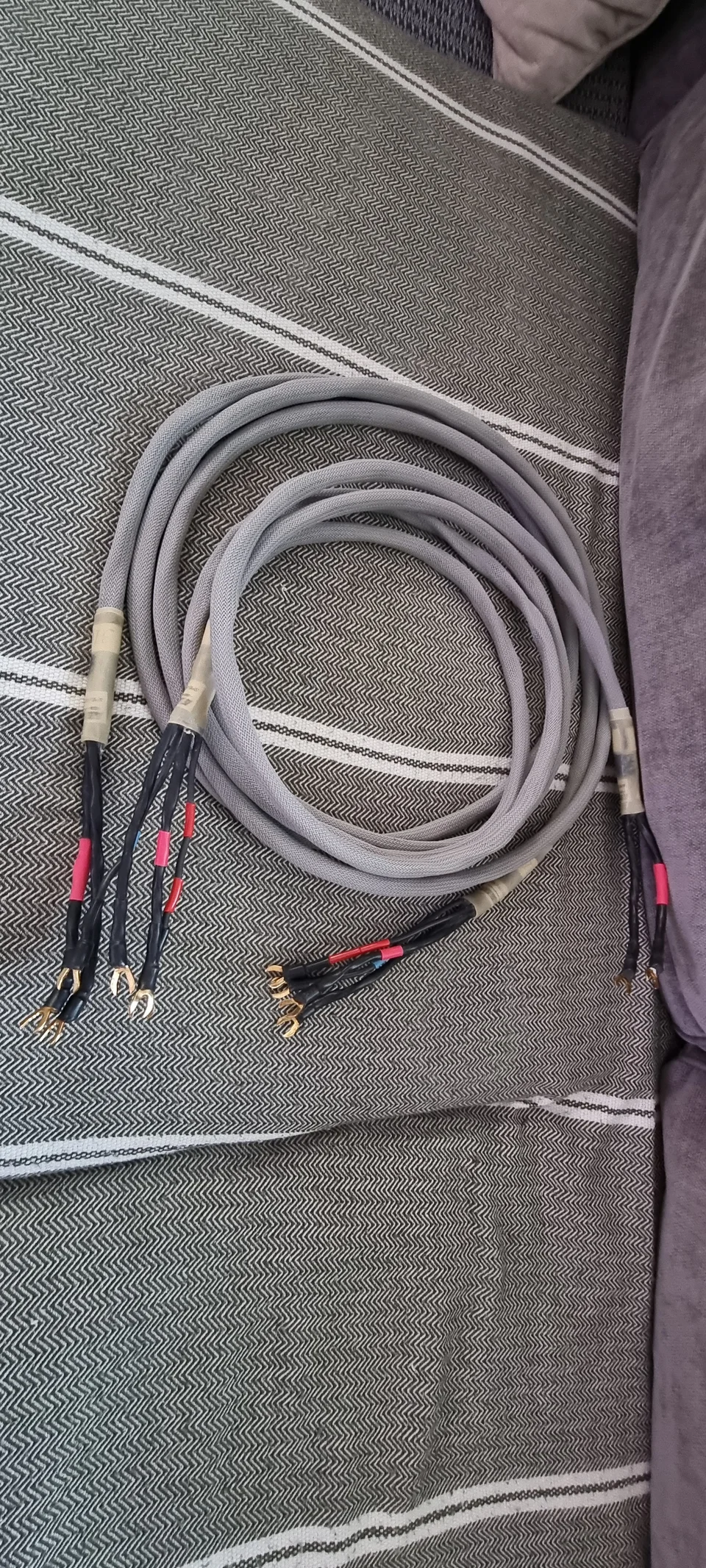 Clou Cable 310 Högtalarkablar