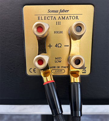 Sonus Faber Electa Amator III