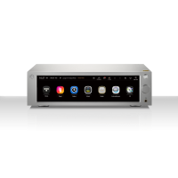 HiFi Rose RS 250