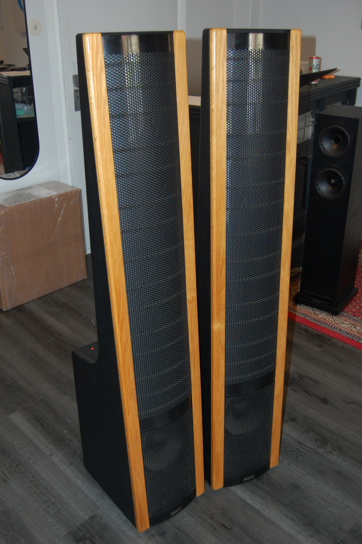 Martin Logan Aerius ** Sänkt Pris **