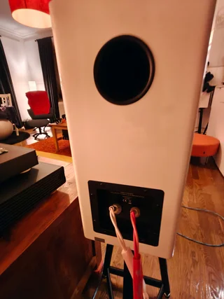 Dynaudio Evoke 20 + solid steel