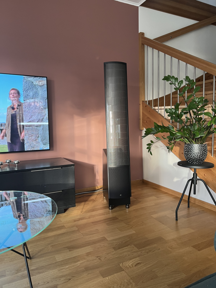 Martin Logan ESL X