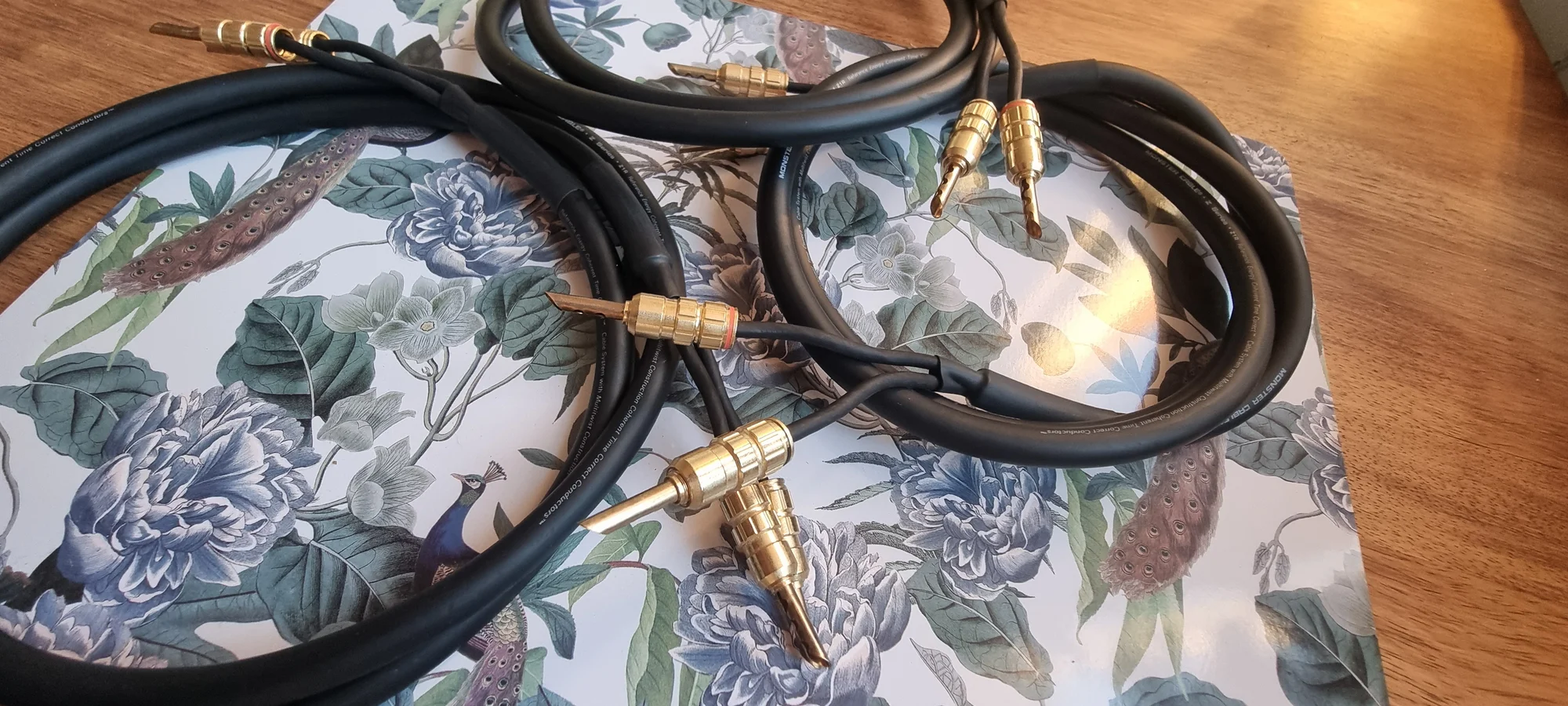 Monster Cable ZR1 Reference - Bilde 2 av 4
