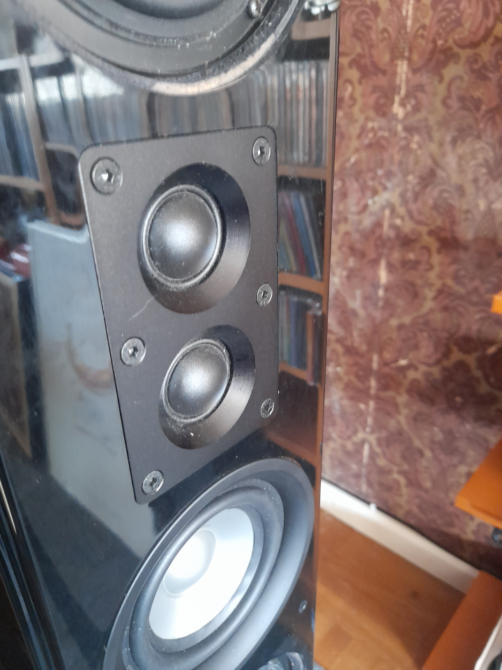 Earthquake-Platinee Noiree