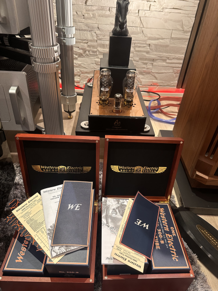 Audio note conquest monobloc 300b Audio note conquest monobloc 300b - Bild 2 av 6