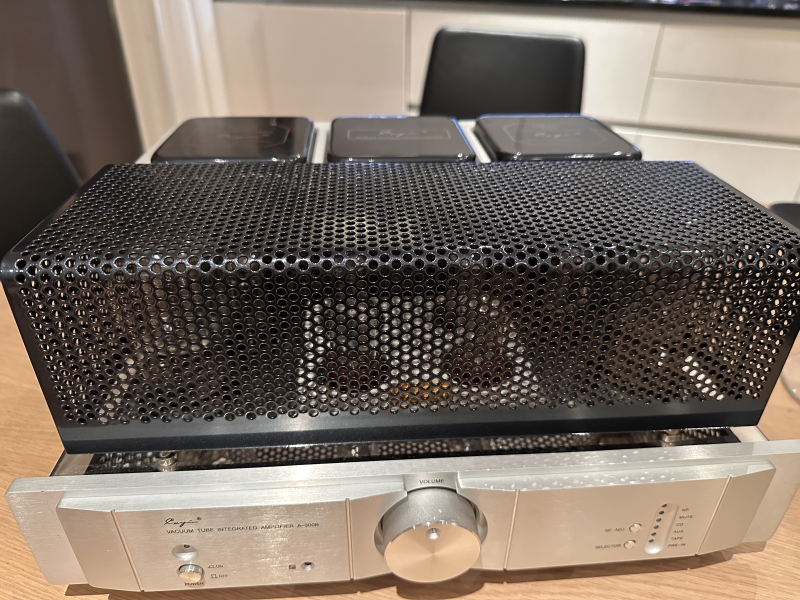 Cayin 300B med flera olika 300B-rör - Bild 8 av 11