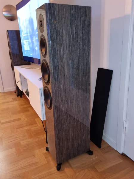 Dynaudio focus 60xd  - Bild 4 av 4