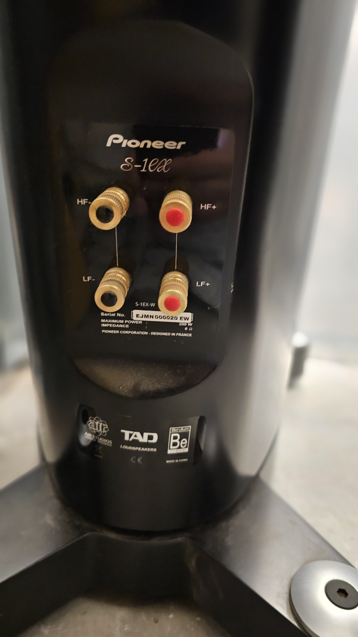 Pioneer s1-ex (TAD) 