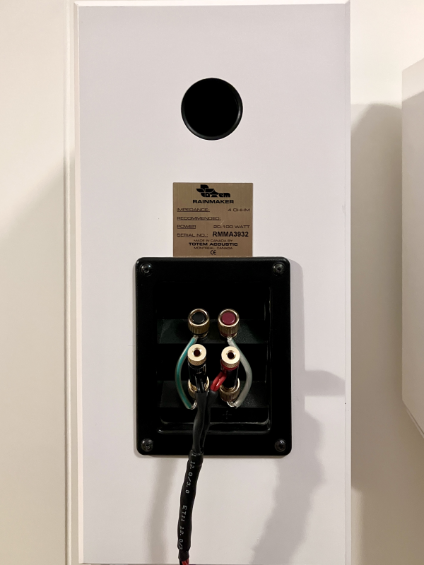 Totem Rainmaker och Norstone stativ Totem Rainmaker och Norstone stativ - Bild 2 av 5