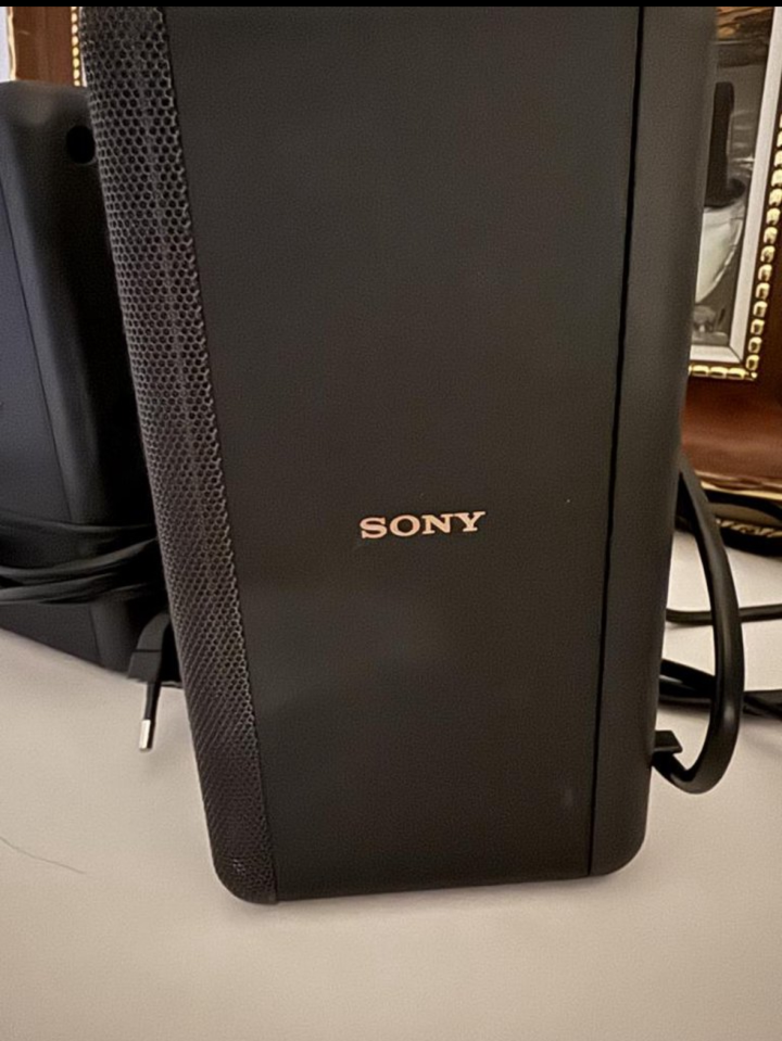 Sony SA-RS3S