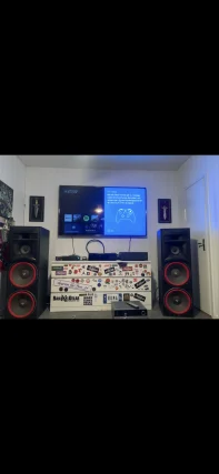 Cerwin Vega CLSC 215