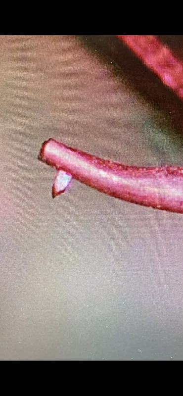 hana ML - Bild 5 av 7