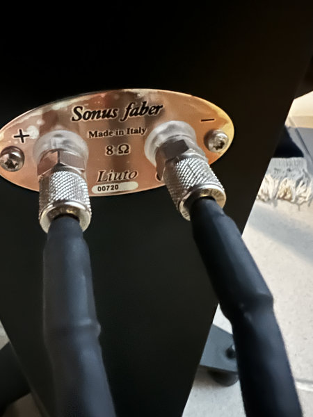 Sonus Faber Liuto 
