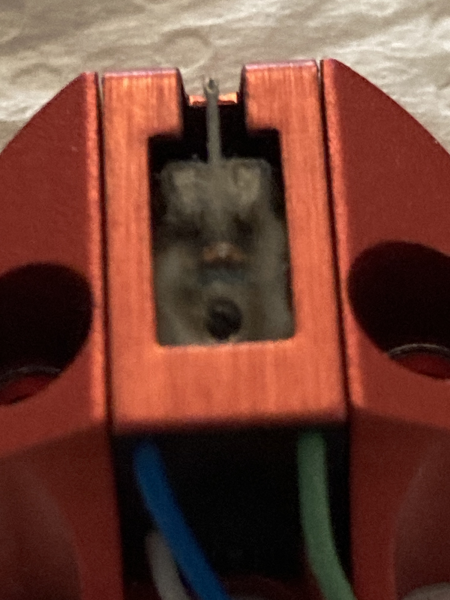 Linn Troika - Bild 3 av 4