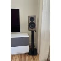 Heed Thesis - Dynaudio Spcial 40