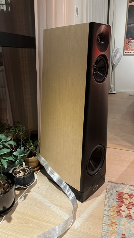 YG ACOUSTICS SUMMIT Högtalare - Bild 3 av 3