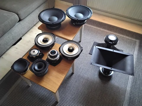 Storstädning högtalarelement 