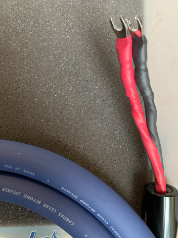 CARDAS CLEAR BEYOND SPEAKER