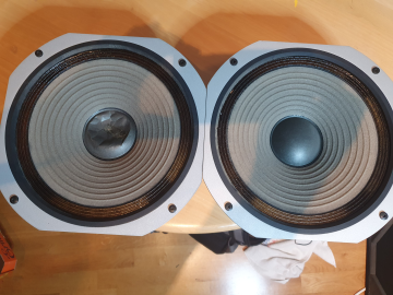 Pioneer HPM 50 bas 25-737B-2  10&#34;