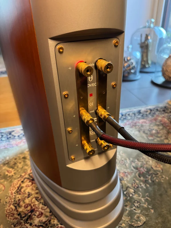 Audiovector SI6 Avantgarde  - Kuva 3 / 4