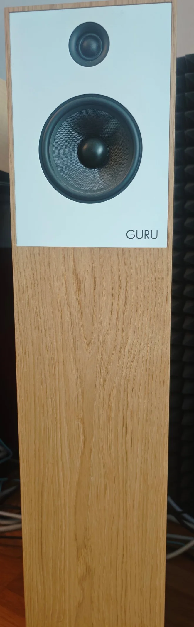 Guru Audio 28 golvh&ouml;gtalare, EK, nyskick - Bild 2 av 5