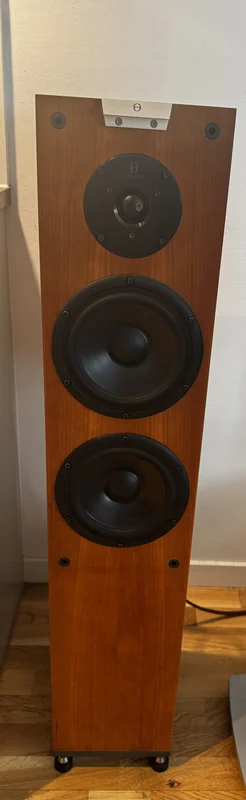 Audiovector M3 Signature golvhögtalare - Mint ConditIon Audiovector M3 Signature golvhögtalare - Mint ConditIon - Bild 4 av 4