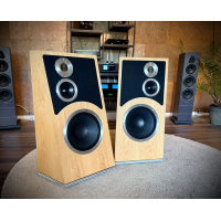 Audiovector TRAPEZE Ri - Demoex