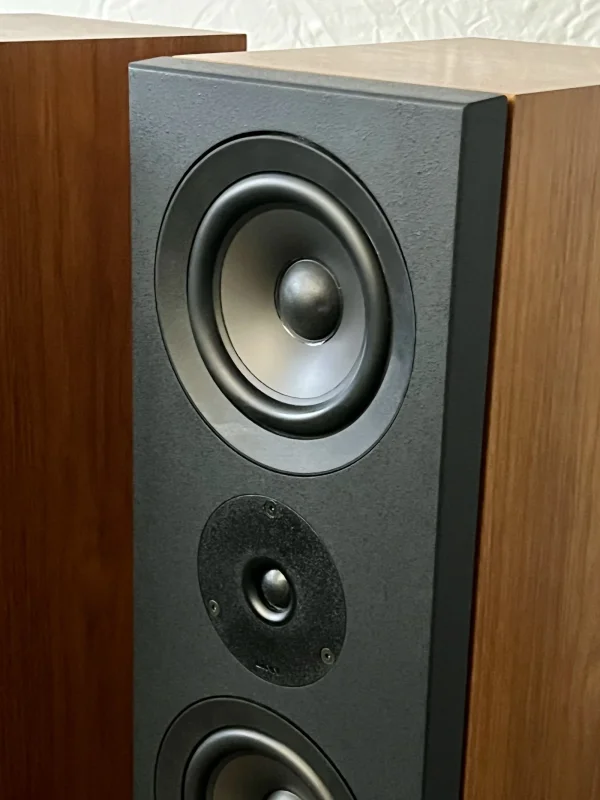 Linn Kaber - Bild 2 av 3