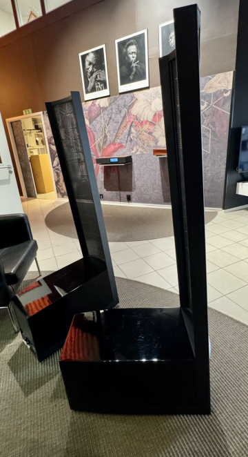 Martin Logan Impression ESL 11A