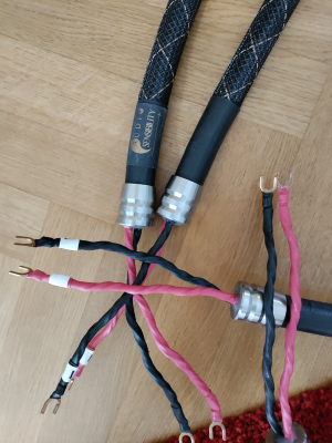 Statement SE Single-Wire Speaker Cables  Prissänkt !!