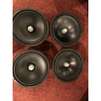 12 tums dipoler Acoustic Elegance D8