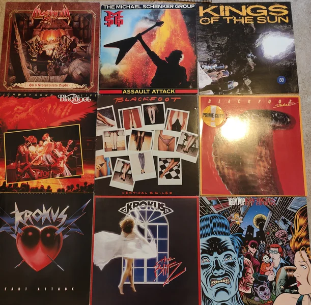 H&aring;rdrocksvinyl - Bild 1 av 10