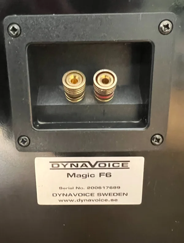 Dynavoice Magic F6. 125 Watt golvh&ouml;gtalare. - Bild 6 av 7