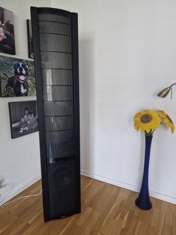 Martin Logan Sequel II.