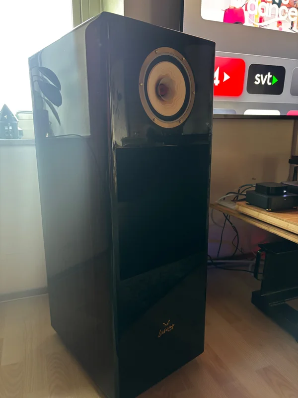 Lii Audio Liionidas Fieke S6 MK2 Golvh&ouml;gtalare  - Bild 4 av 4