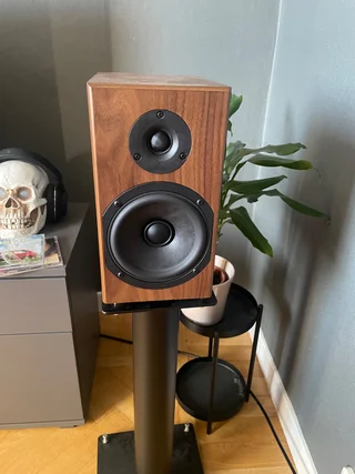 Totem Loon