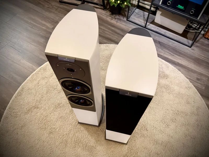 Audiovector R 3 Signature - Demoex Audiovector R 3 Signature - Demoex - Bild 2 av 2